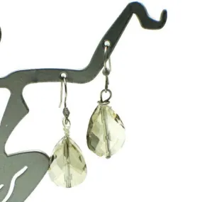 Gray Crystal Teardrop Drop Earrings